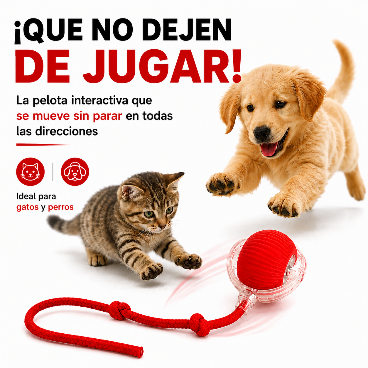 PetPro™ Pelota Interactiva