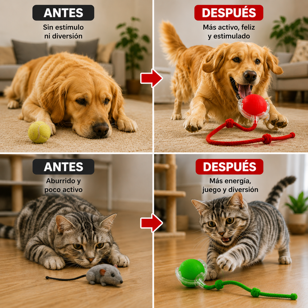 PetPro™ Pelota Interactiva