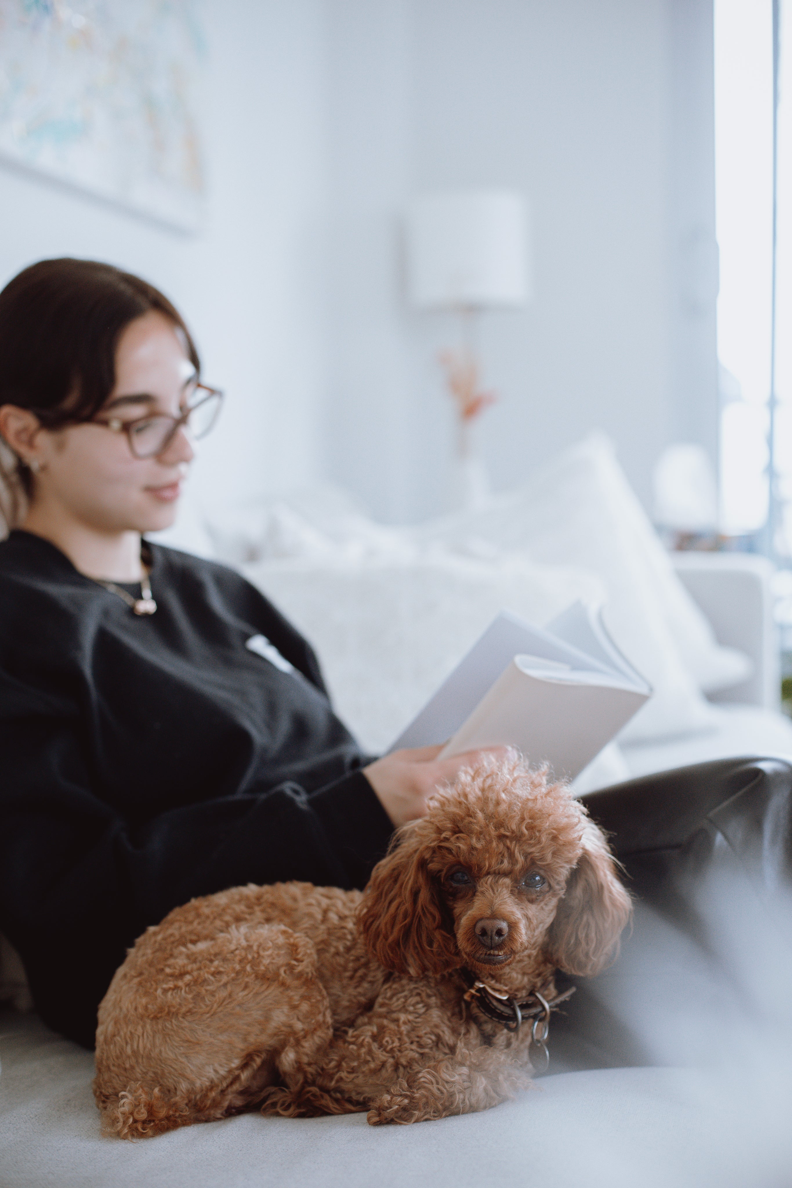 files/small-puppy-curls-up-next-to-person-reading.jpg